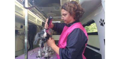 Bain et shampoing dans le camion