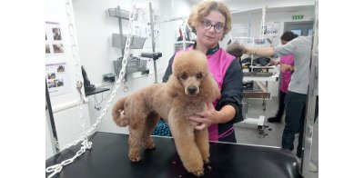 Hélène avec un chien sur la table de toilettage