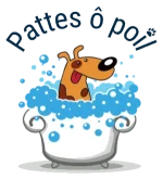 Logo Pattes ô Poil Logo Pattes ô Poil