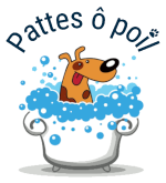 Logo pattes ô poil